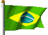 Brasilian flag